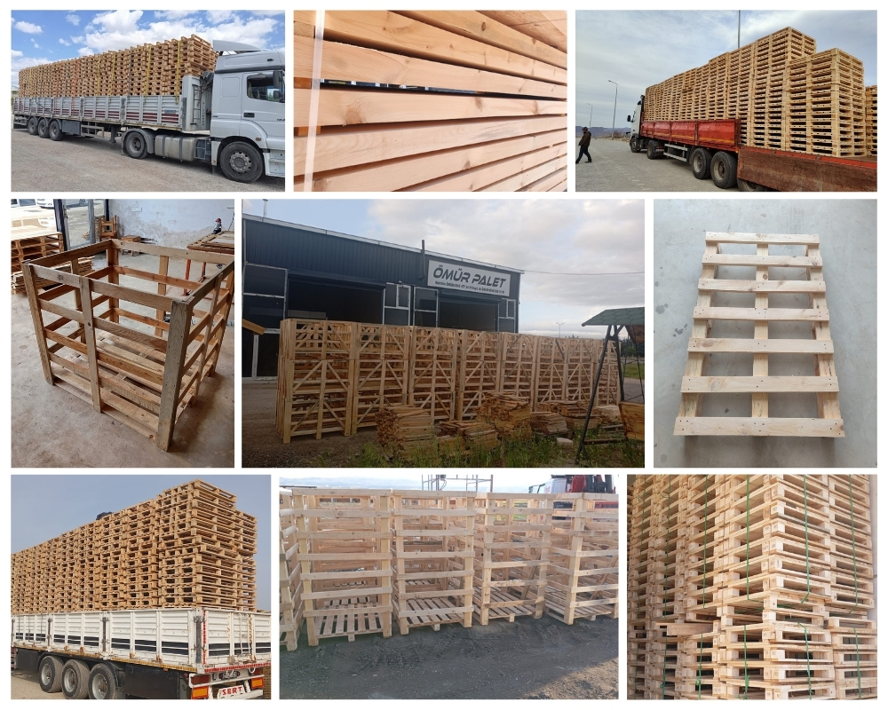 Paignton Wooden Pallets, Buy Wooden Pallets Wholesale
